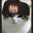 paddda