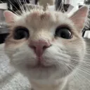 142283