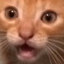 mareks5469#5877's avatar