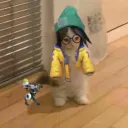 a discord avatar