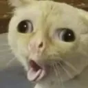 owsu