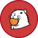 chicoarroz