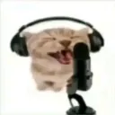 fluffymikey