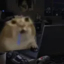 soyhannah