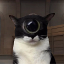 sinically#1754's avatar