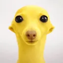 suny_ytb
