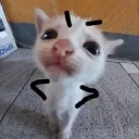 chiiri_
