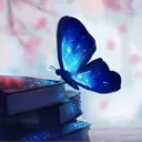 mei_fafa