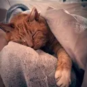 itsmellow_