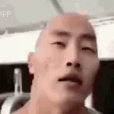 chatpapi