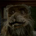 brothercujo
