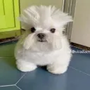 nortemundo