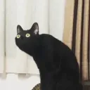 natsopplica