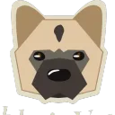 koko_nl