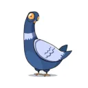 aurelebelge
