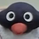 voltezo