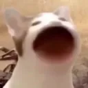.spykz