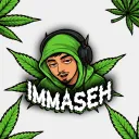 mase1313