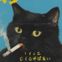 avatar ٴٴٴٴٴٴٴٴٴٴٴٴٴٴٴٴٴٴ