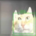 dog97