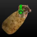 casualweaselyt