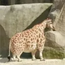 jsaper