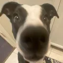 derp0716