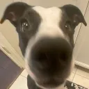 derp0716