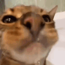 User icon