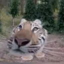 s5rry