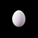 majide5343