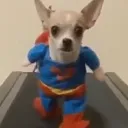 youngnarrow