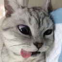 h_ypen