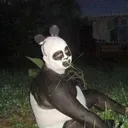jhin4344