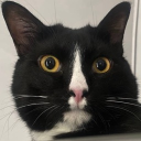 avatar anion🍦🥨🧸