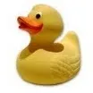 rubber.duckie_au
