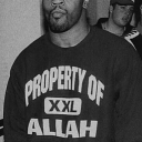 avatar Adonis Jashari