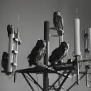 viewsfromthesix#0078's avatar