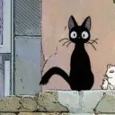 stealthkitcat