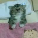 avatar sleepy stinky dolbayob