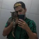 luizhenriquekalk
