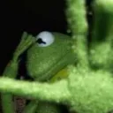 iamkermit9