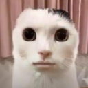 avatar-434866956756320268