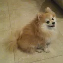 mrooooweee