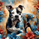 avatar Apollo / Akuti