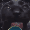 wolfiey