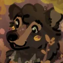 ehno.