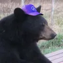 ben_joris