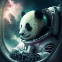 pandak42