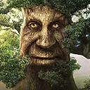 gamabubaiko